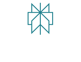 Perplexity